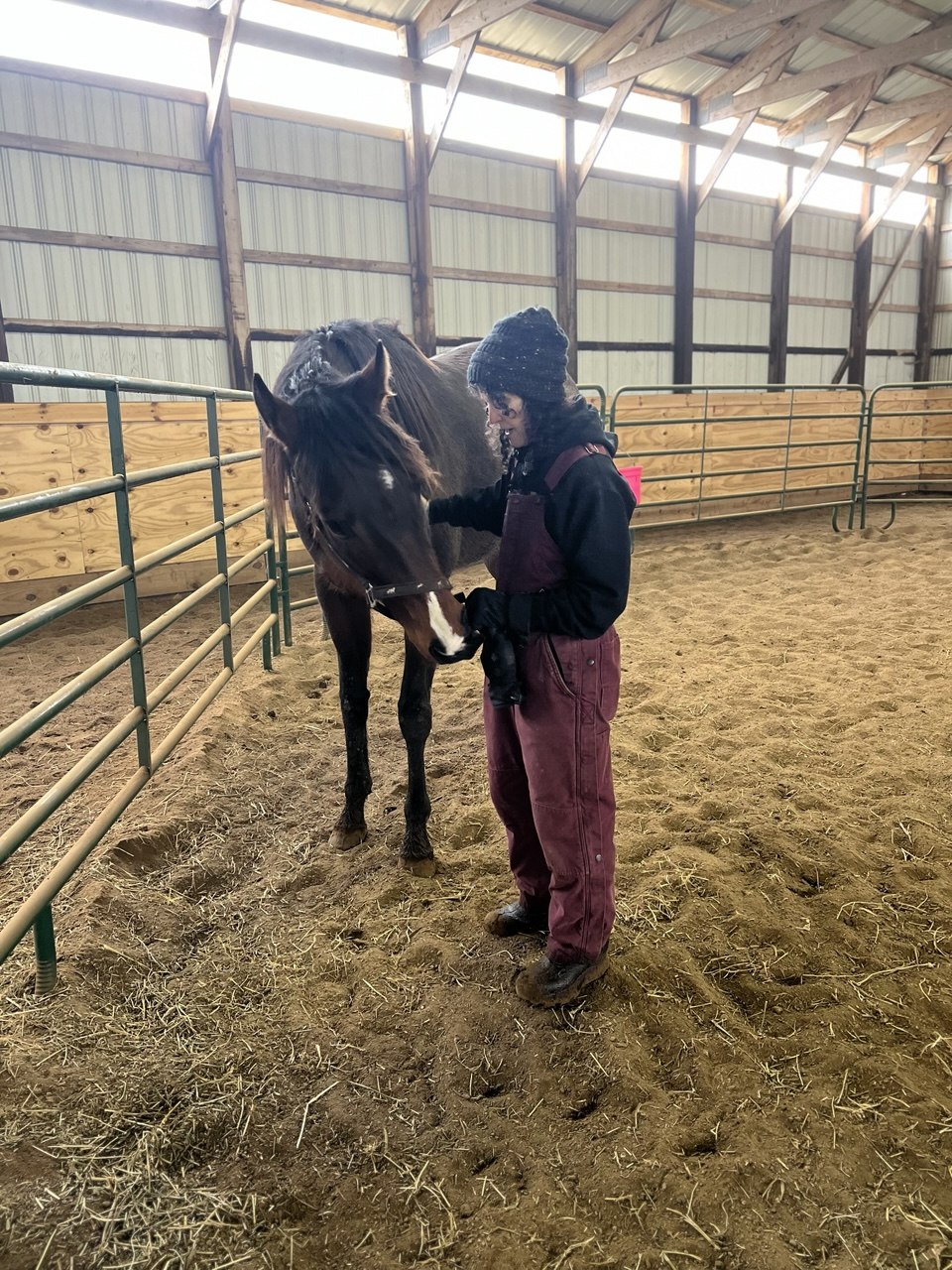Kim standing quietly with a black horse in the arena