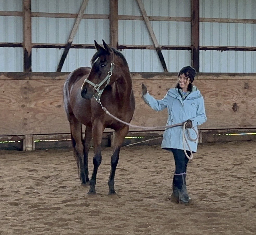 Kim in blue coat with brown horse in arena