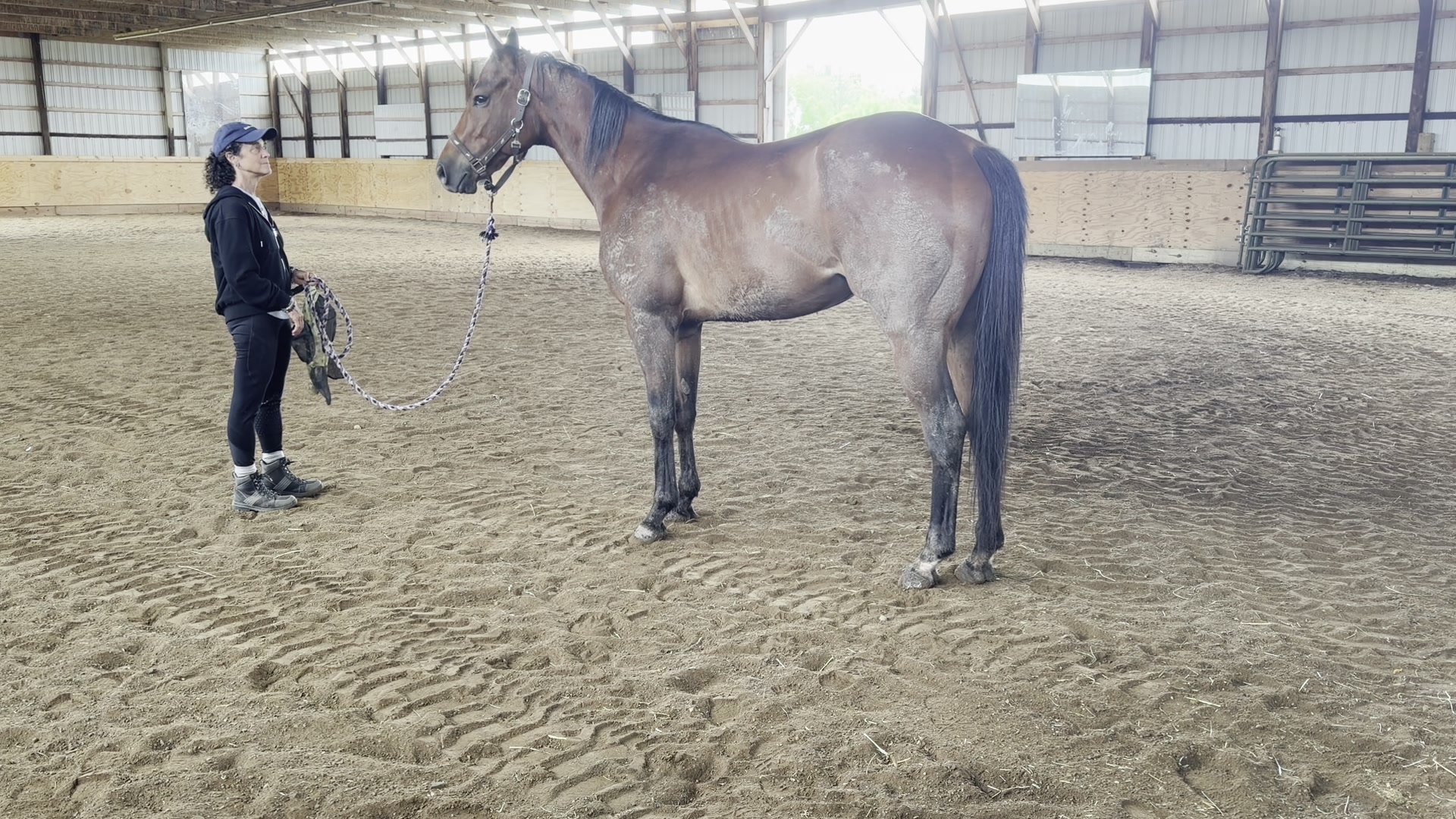 Kim in black standing with a brown horse