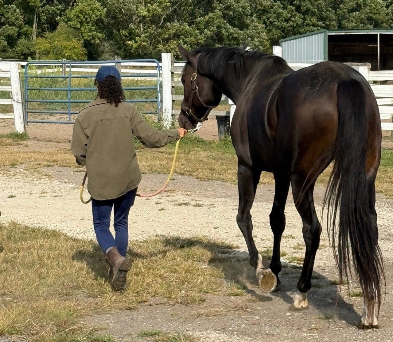 Kim walking with a black horse